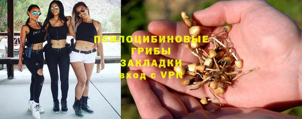 мяу мяу мука Абинск